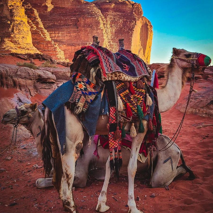 Wadi Rum Bedouin Time Ngoại thất bức ảnh