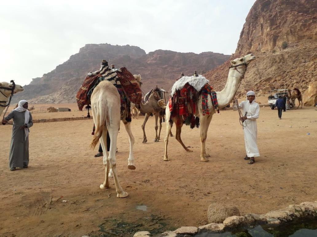 Wadi Rum Bedouin Time Ngoại thất bức ảnh